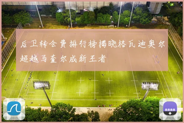 后卫转会费排行榜揭晓格瓦迪奥尔超越马奎尔成新王者